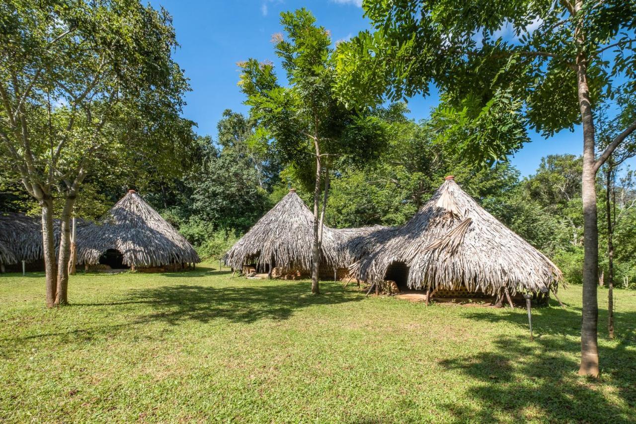 Banyan Camp Villa Hambegamuwa Exterior foto